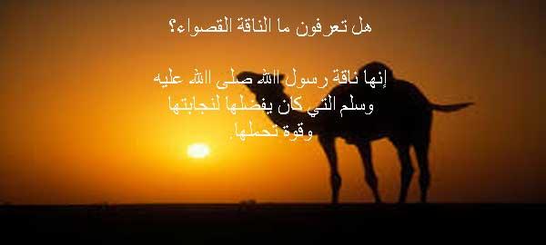هل تعرفون ما هي " الناقة القصواء"؟؟