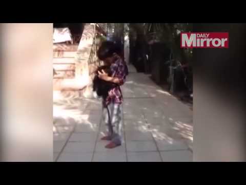 فيديو: طفل مغربي يحمي شمبانزي من ضبع جائع بحفاضة