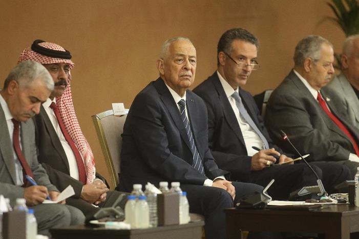 العيسوي يلتقي وجهاء وممثلين عن أبناء وبنات العقبة
