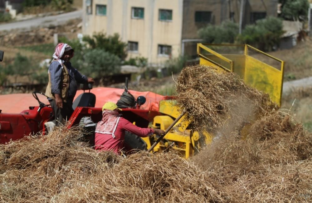 هل يشكل كورونا مقدمة لايقاد "سراج الحصادين "من جديد