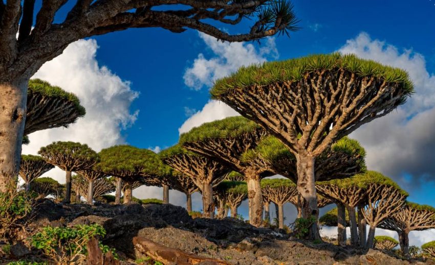 بالصور ..  أجمل 8 أماكن سياحية لعشاق الطبيعة والإثارة