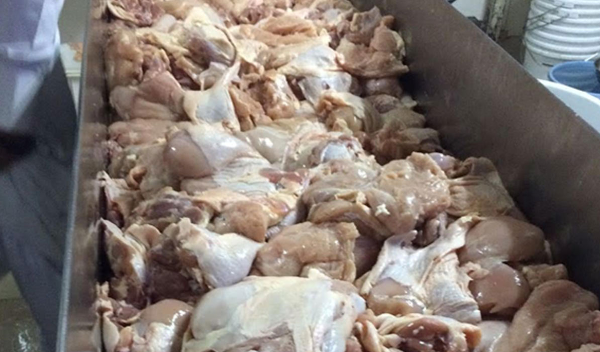مدعي عام الزرقاء يوقف مستثمرا عراقيا على خلفية ضبط أطنان من الدجاج الفاسد