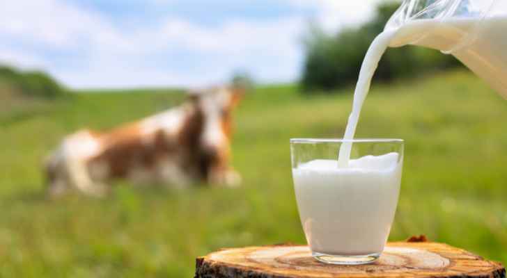 مصدر في وزارة الزراعة لسرايا: "الصناعة والتجارة" رفضت الموافقة على رفع أسعار الحليب