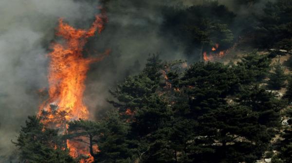 لبنان يكافح لاحتواء حرائق ضخمة مستمرة لليوم الثالث على التوالي
