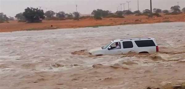 مشاهد غريبة عن السعودية ..  السيول تجرف حيوانات نافقة .. فيديو 