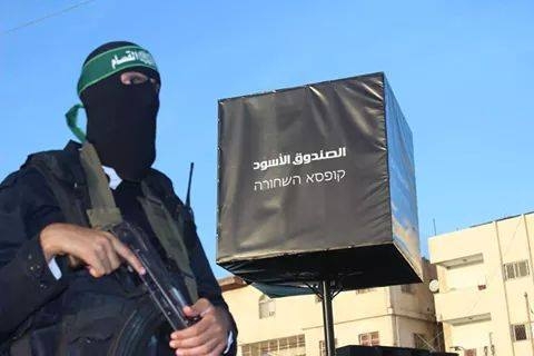 ما قصة الصندوق الأسود في مهرجان رفح؟