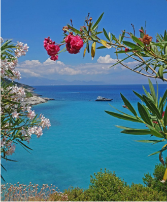  أفضل الأنشطة السياحية ننصحك بتجربتها في جزيرة زاكينوس