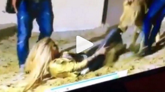 بالفيديو ..  أسد جائع يهاجم فنانة لبنانية شهيرة ويسقطها أرضاً