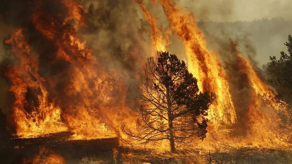  حريق ياتي على (30) دونما بمنطقة البربيطة الزراعية بالطفيلة