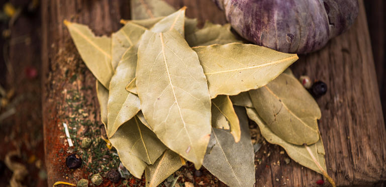 الأعشاب في رمضان: من الهضم والمناعة إلى التركيز والحيوية