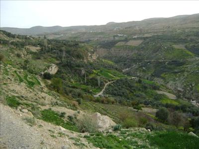امام وزير الزراعة 