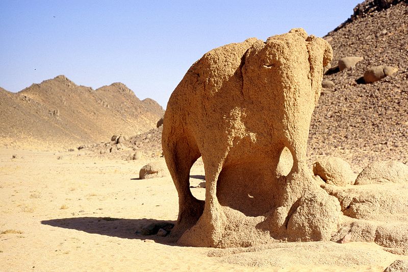 بالصور  ..  أفضل معالم السياحة فى مدينة جانت الجزائر