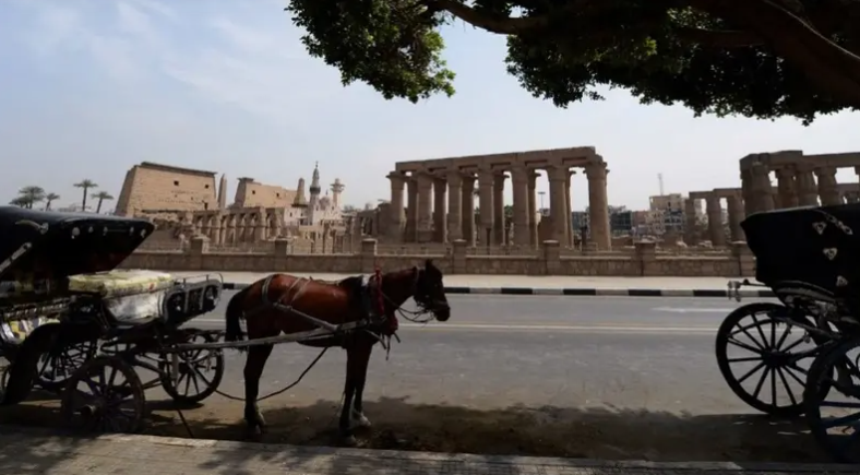عربات خيول في شوارع مصر مع ارتفاع البنزين ..  ما القصة؟