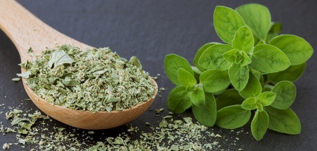 تعرف على فوائد البردقوش التي تصنع العجائب بجسمك