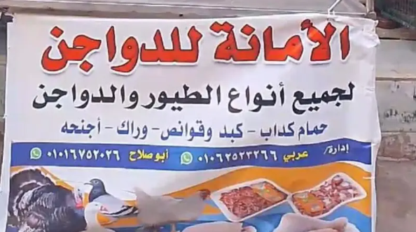 خفض أسعار الدواجن فأرداه قتيلاً ..  مصر تبكي "شهيد الغلابة"