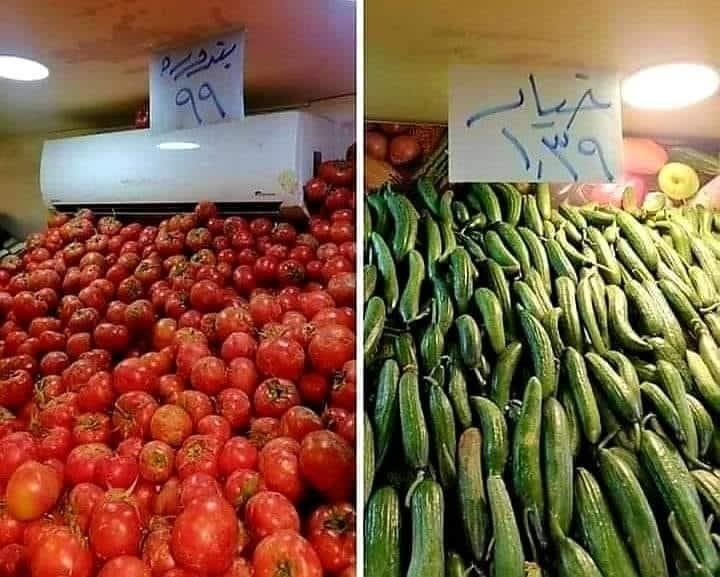 وزارة الزراعة توضح لـ"سرايا" أسباب ارتفاع اسعار "الخيار والبندورة"في الأسواق وحول تكلفتها قبيل شهر رمضان