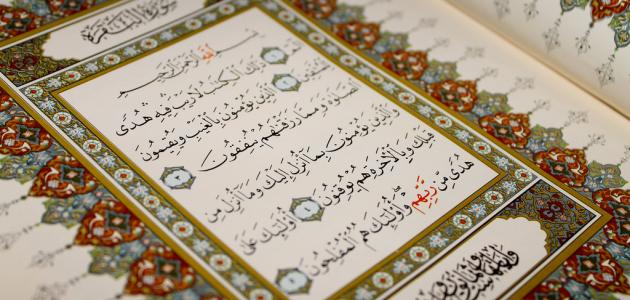 عجائب قراءة سورة البقرة كل يوم