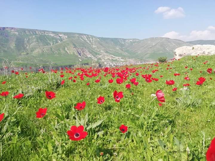 أجواء دافئة بالمرتفعات وحارة في باقي المناطق اليوم
