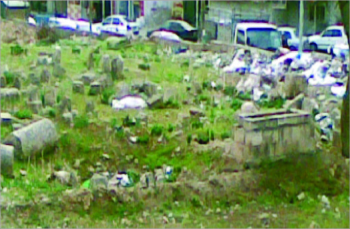 امام بلدية جرش 