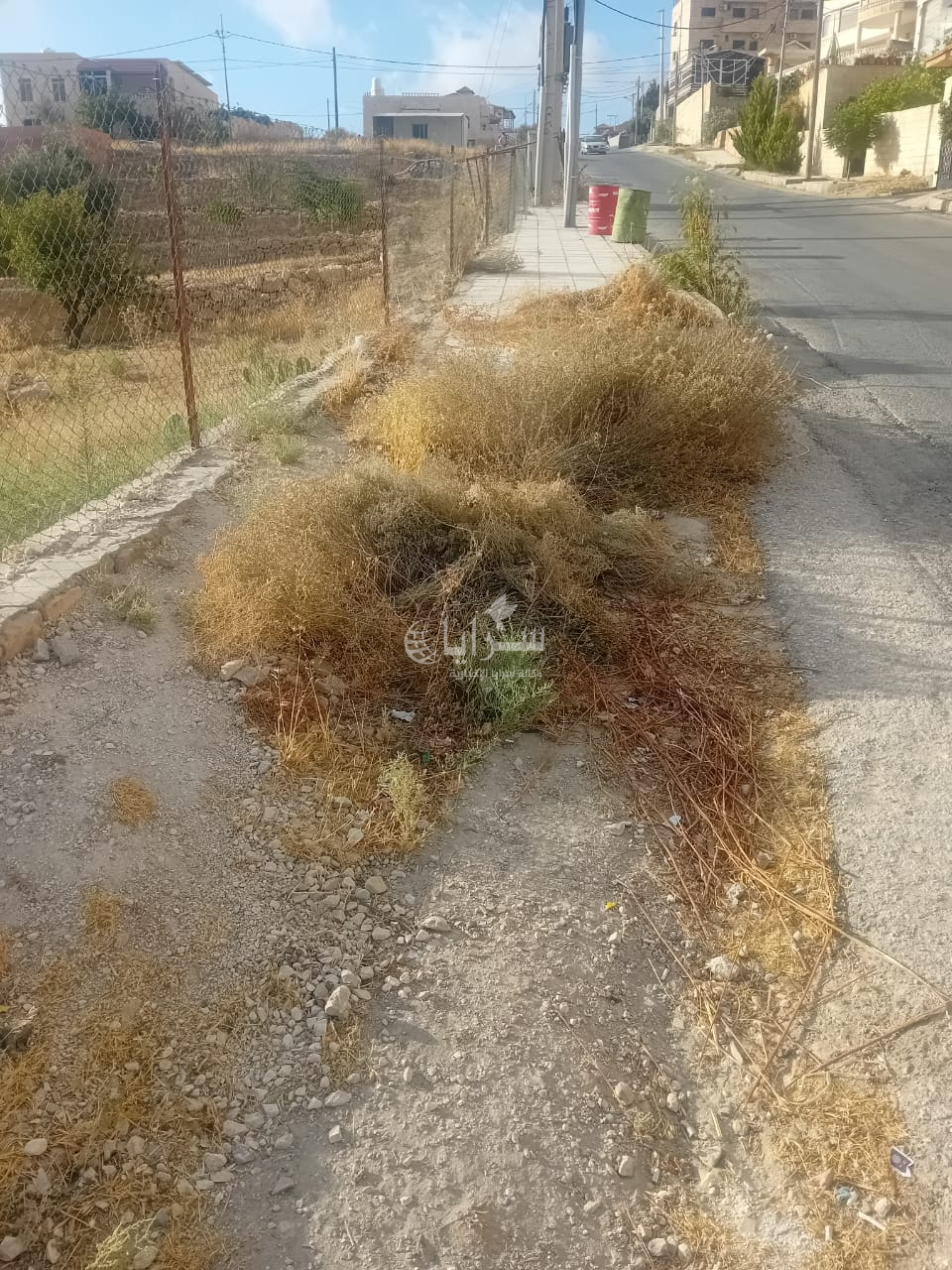 رصيف مؤدٍ إلى مدرسة آمنة بنت وهب بوادي موسى تغطيه الأعشاب والأتربة ..  ومطالبات بإنهاء معاناة الطلبة اليومية  ..  صور 