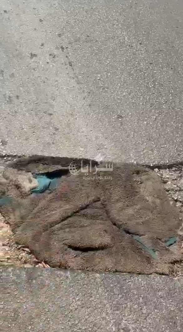 بالفيديو  ..  سجاد المنازل يغزو شوارع الزرقاء لمواجهة الحفر 