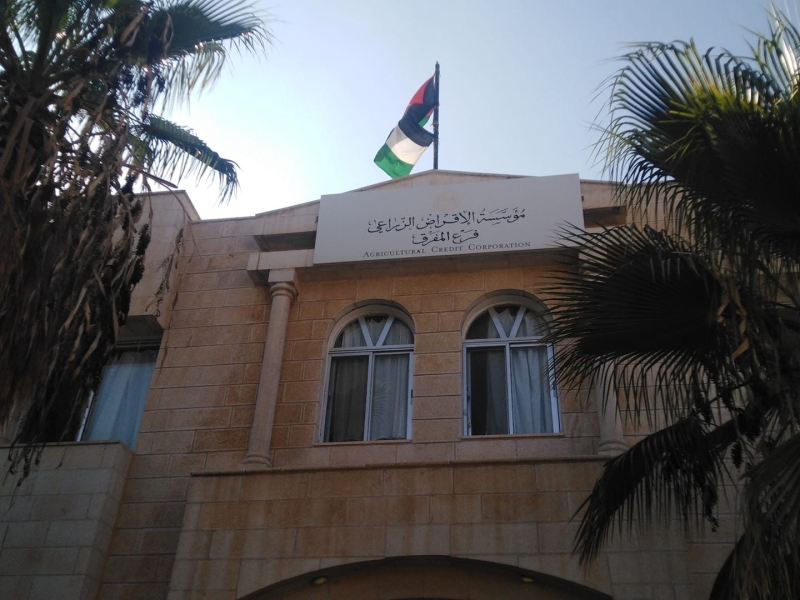 حوالي 3 ملايين دينار قروض للمزارعين بالبادية الشمالية في النصف الأول من العام الحالي