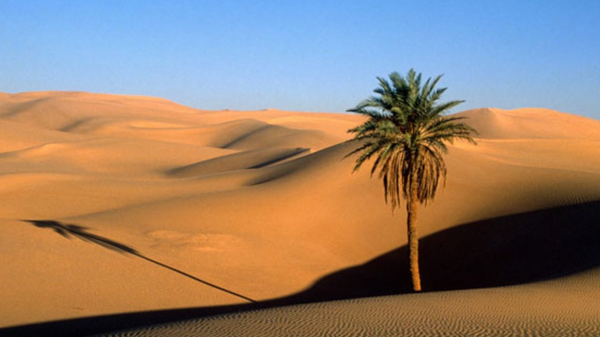 اكتشاف أقدم عظم بشري بالسعودية ..  عمره 90 ألف سنة