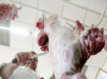 أسعار اللحوم البلدية مستقرة على ارتفاع
