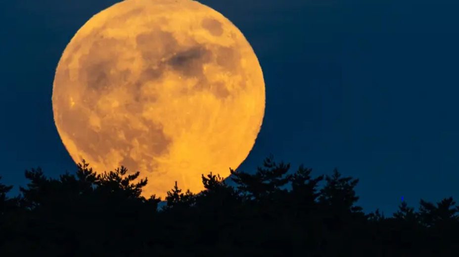 السماء تستقبل مساء الخميس "القمر البارد" ..  آخر قمر عملاق لـ2025