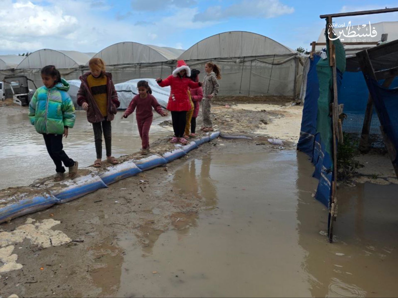  3 شهداء بسبب البرد الشديد في غزة والاحتلال يواصل خرق اتفاق وقف إطلاق النار 