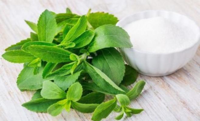 تعرّف على النبتة الطبيعية البديلة للسكر