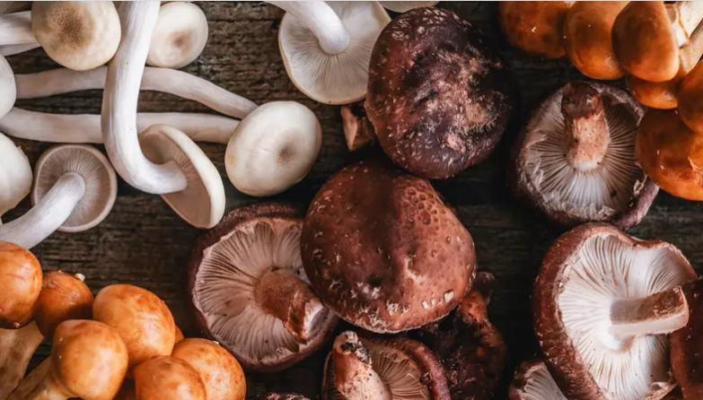 تناول الفطر بانتظام قد يساعد على خفض ضغط الدم