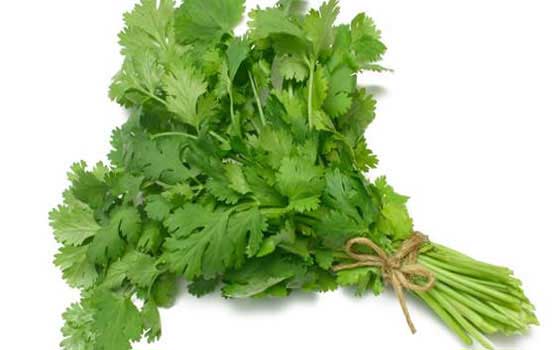 الكزبرة لها فوائد عديدة خاصة لمرضى السكري