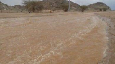 محافظ المفرق: العثور على جثامين الأشخاص المفقودين بسيول الرويشد