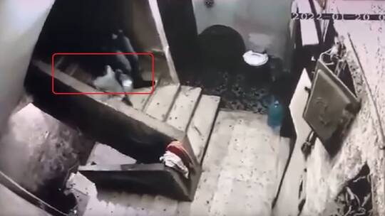 الأمن المصري يتحرك لتحديد هوية المتحرش بطفلة مشردة