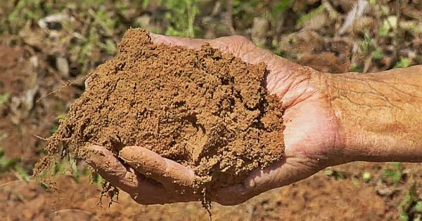 تعرف على فوائد تناول الطين 