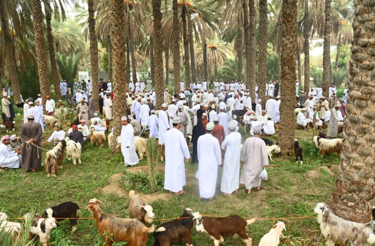 كيف تغيرت الإجازات الرسمية في سلطنة عمان خلال 55 عامًا؟