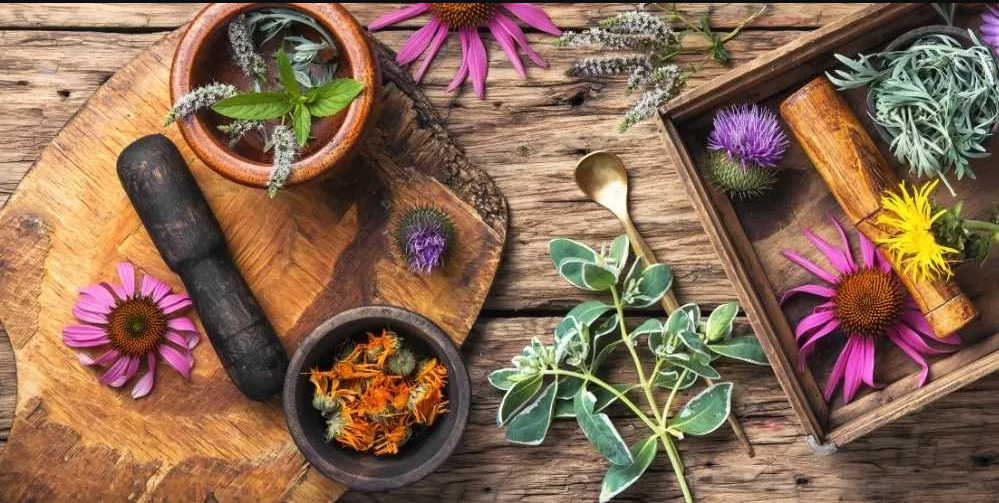 5 أعشاب تمنحك التدفئة في الشتاء