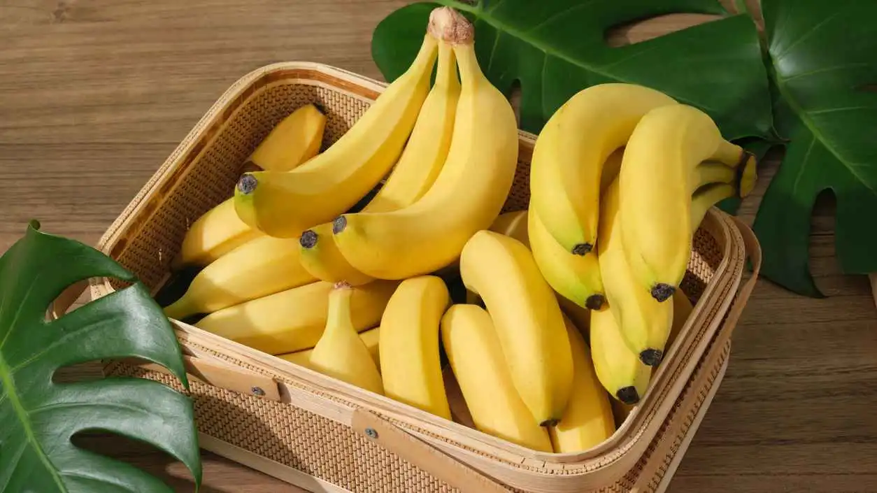 أين تضع الموز كي تحفظه طازجًا لأطول فترة ممكنة؟ 