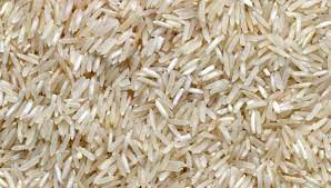 مهيدات عن سبب فساد الأرز مؤخرًا: التخزين وموجة الحر الاخيرة تسبب بظهور السوس بداخله 
