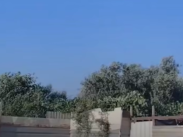 بالفيديو ..  عائلة سورية تحول منزلها في مخيم الزعتري بالأردن إلى مزرعة صغيرة