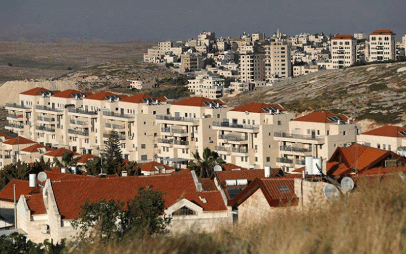 إبراهيم قبيلات يكتب: كل مكان تطأه أقدامكم ..  يكون لكم