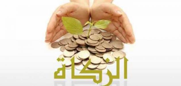 تعرف على حكم الزكاة من اموال مستحقات التقاعد