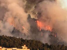 إخماد حريق أعشاب جافة وأشجار حرجية في محافظة  عجلون
