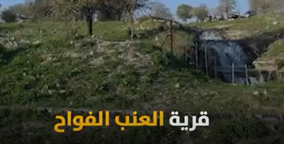 بالفيديو ..  تعرفوا على قرية دالية الروحا المهجرة قضاء حيفا