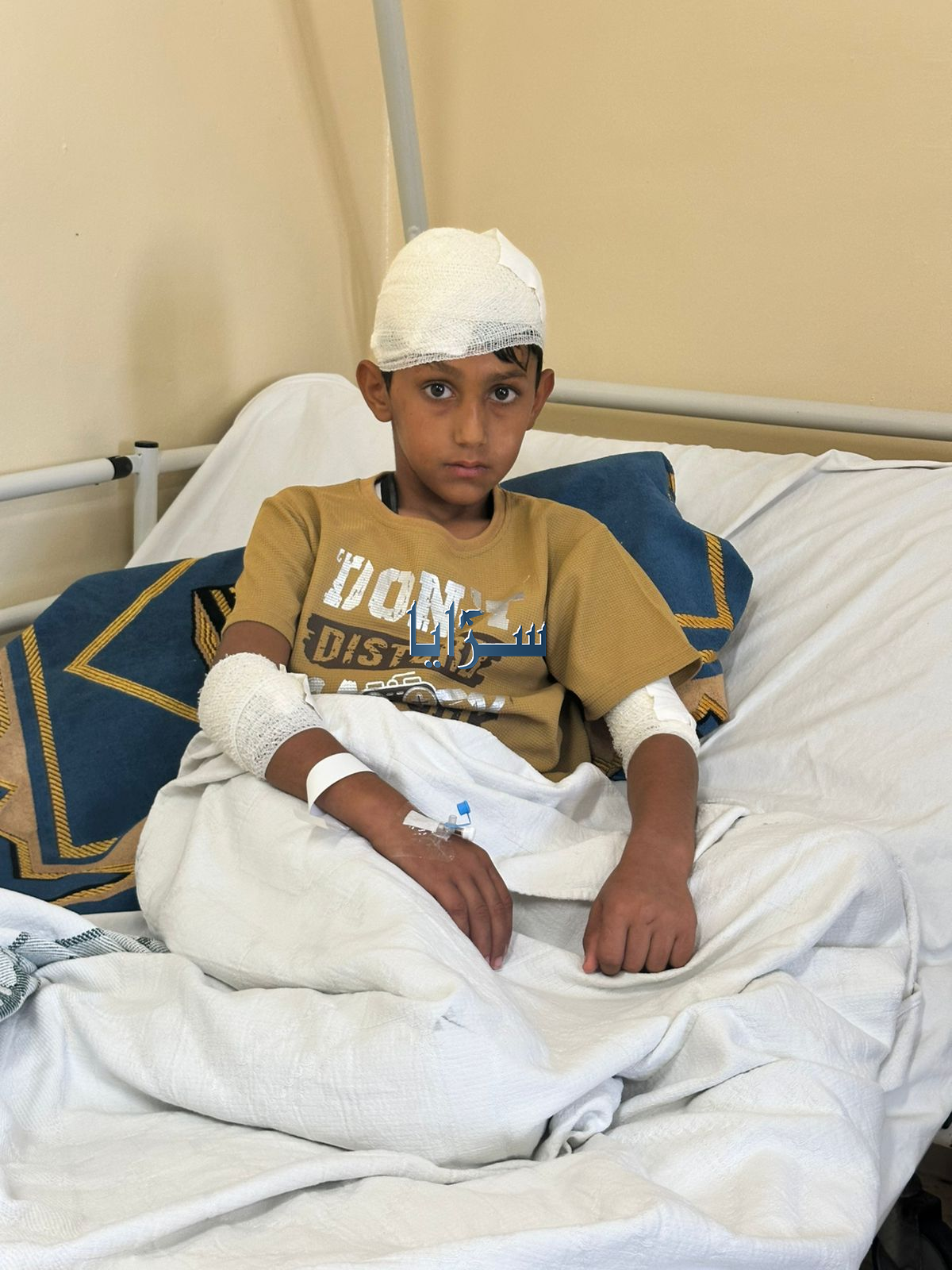 حالتي عقر بين طلبه المدارس بالاغوار الشمالية و المخيبة ..  فيديو وصور