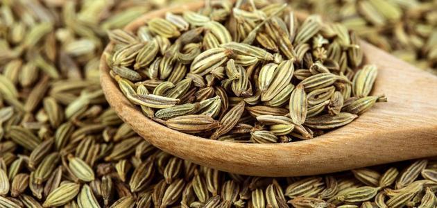 فوائد مذهلة للشمر في التخسيس