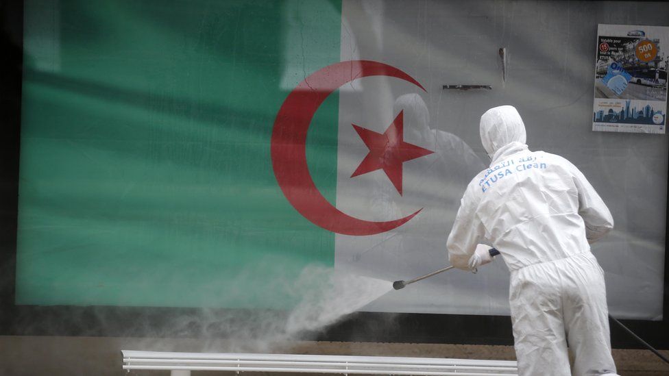 الجزائر ..  8 وفيات و306 إصابات جديدة بكورونا