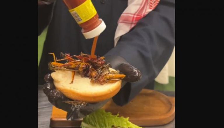 برغر الجراد في السعودية ..  وجبة غريبة مقابل 50 ريالاً 