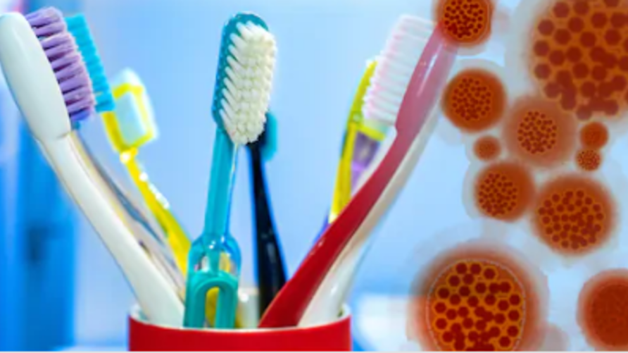 هل تنقل فرشاة الأسنان فيروس كورونا؟